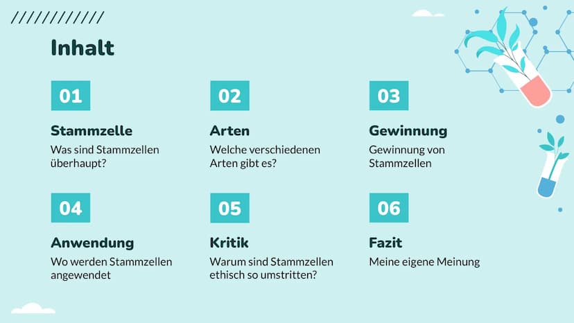 Wochenbericht
Stammzellen //// Inhalt
01
Stammzelle
Was sind Stammzellen
überhaupt?
04
Anwendung
Wo werden Stammzellen
angewendet
02
Arten
W