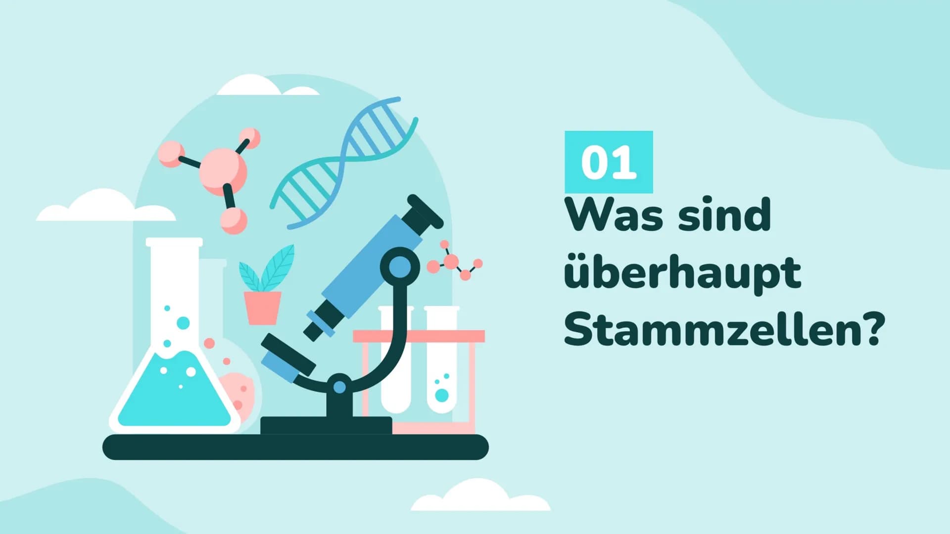 Wochenbericht
Stammzellen //// Inhalt
01
Stammzelle
Was sind Stammzellen
überhaupt?
04
Anwendung
Wo werden Stammzellen
angewendet
02
Arten
W