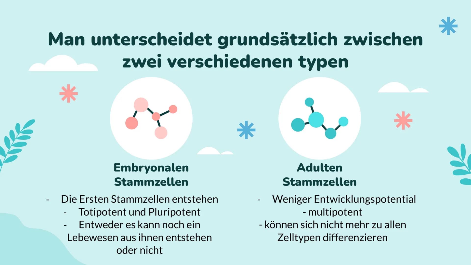 Wochenbericht
Stammzellen //// Inhalt
01
Stammzelle
Was sind Stammzellen
überhaupt?
04
Anwendung
Wo werden Stammzellen
angewendet
02
Arten
W