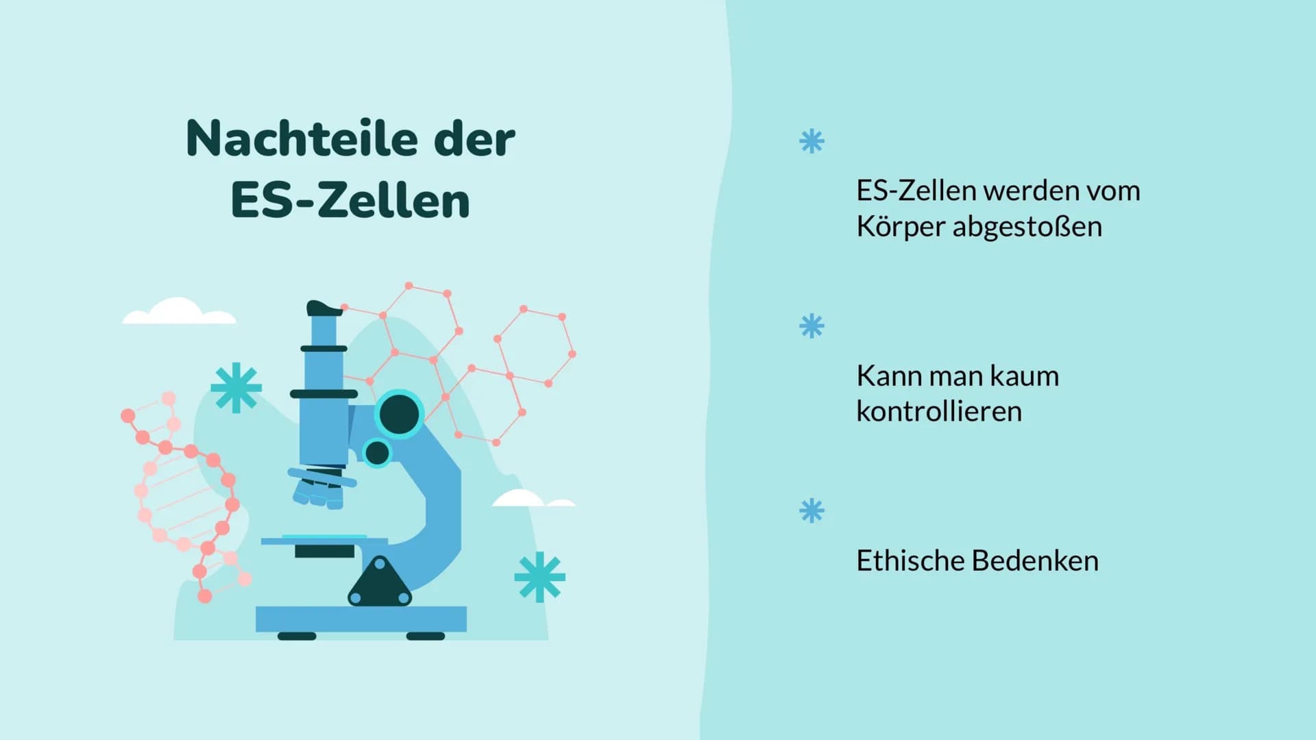 Wochenbericht
Stammzellen //// Inhalt
01
Stammzelle
Was sind Stammzellen
überhaupt?
04
Anwendung
Wo werden Stammzellen
angewendet
02
Arten
W