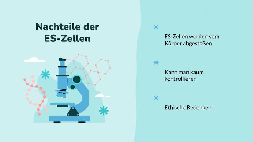 Wochenbericht
Stammzellen //// Inhalt
01
Stammzelle
Was sind Stammzellen
überhaupt?
04
Anwendung
Wo werden Stammzellen
angewendet
02
Arten
W