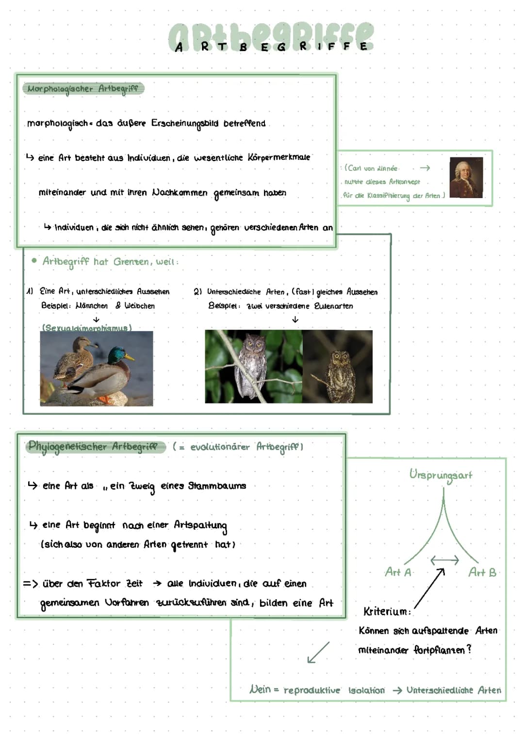 Artbildung, Belege für Evolution, Evolutionsfaktoren