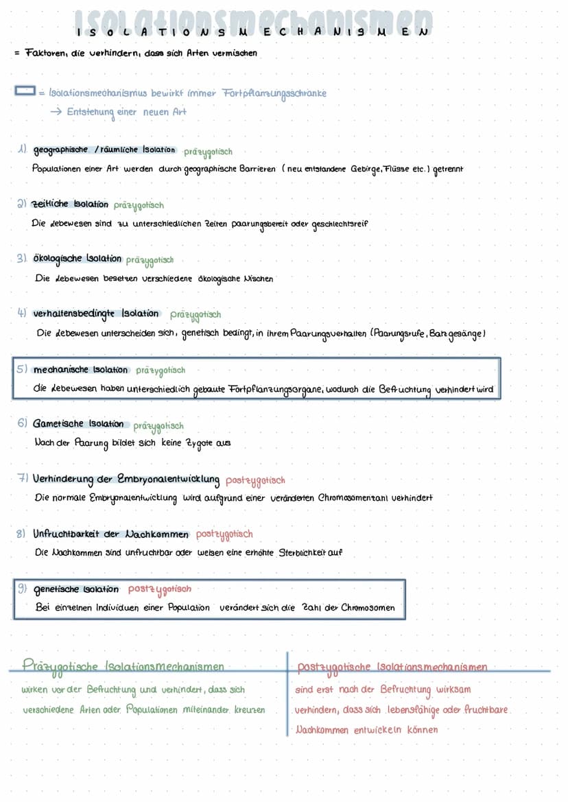 Morphologischer Artbegriff
morphologisch - das außere Erscheinungsbild betreffend
ARTLEGRIFER
B
↳eine Art besteht aus Individuen, die wesent