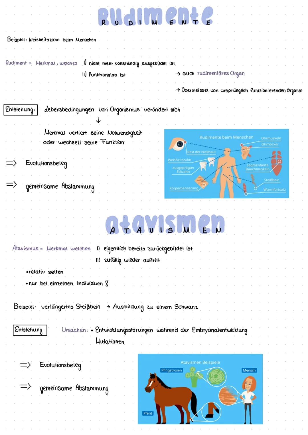 Morphologischer Artbegriff
morphologisch - das außere Erscheinungsbild betreffend
ARTLEGRIFER
B
↳eine Art besteht aus Individuen, die wesent