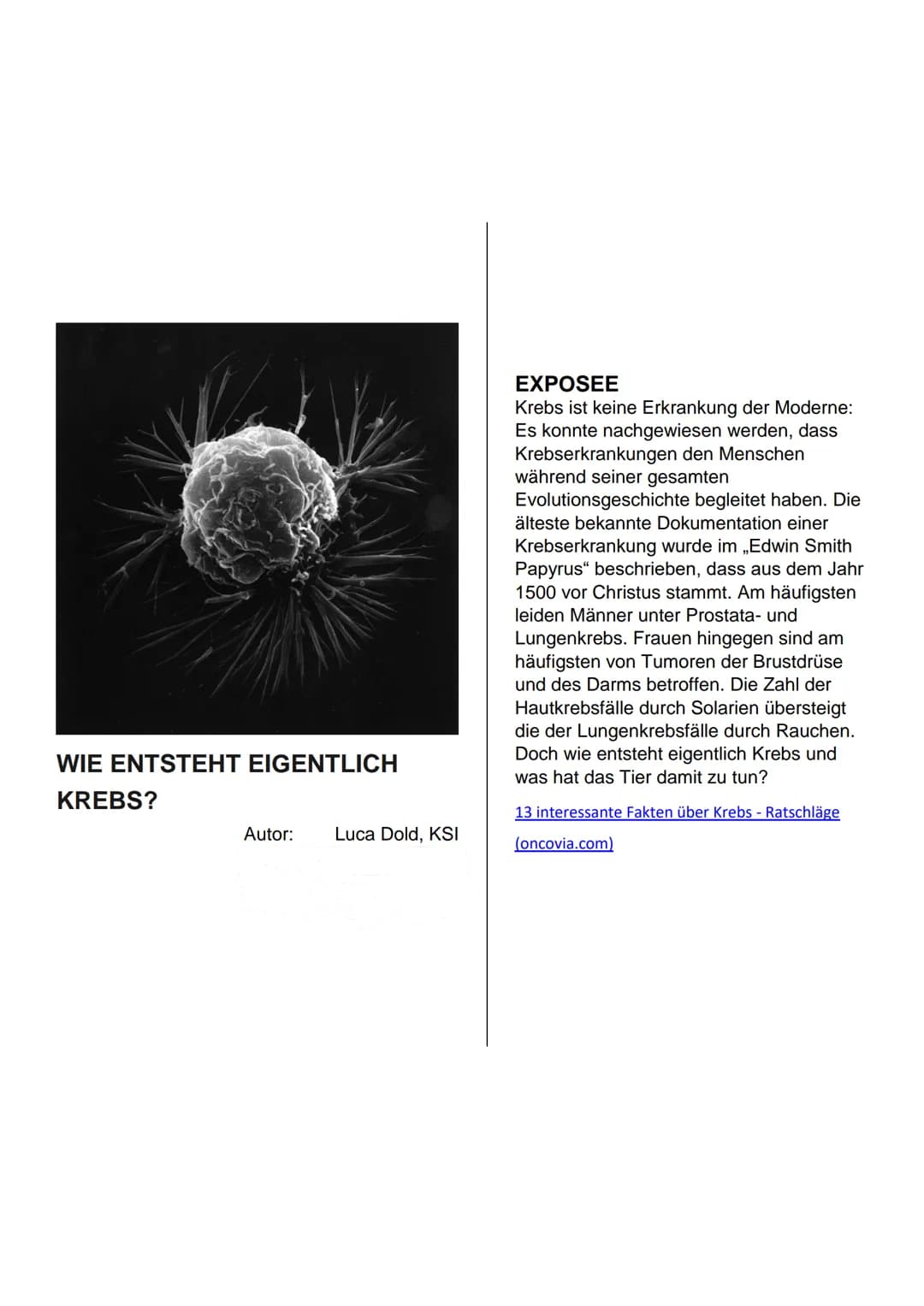 WIE ENTSTEHT EIGENTLICH
KREBS?
Autor: Luca Dold, KSI
EXPOSEE
Krebs ist keine Erkrankung der Moderne:
Es konnte nachgewiesen werden, dass
Kre