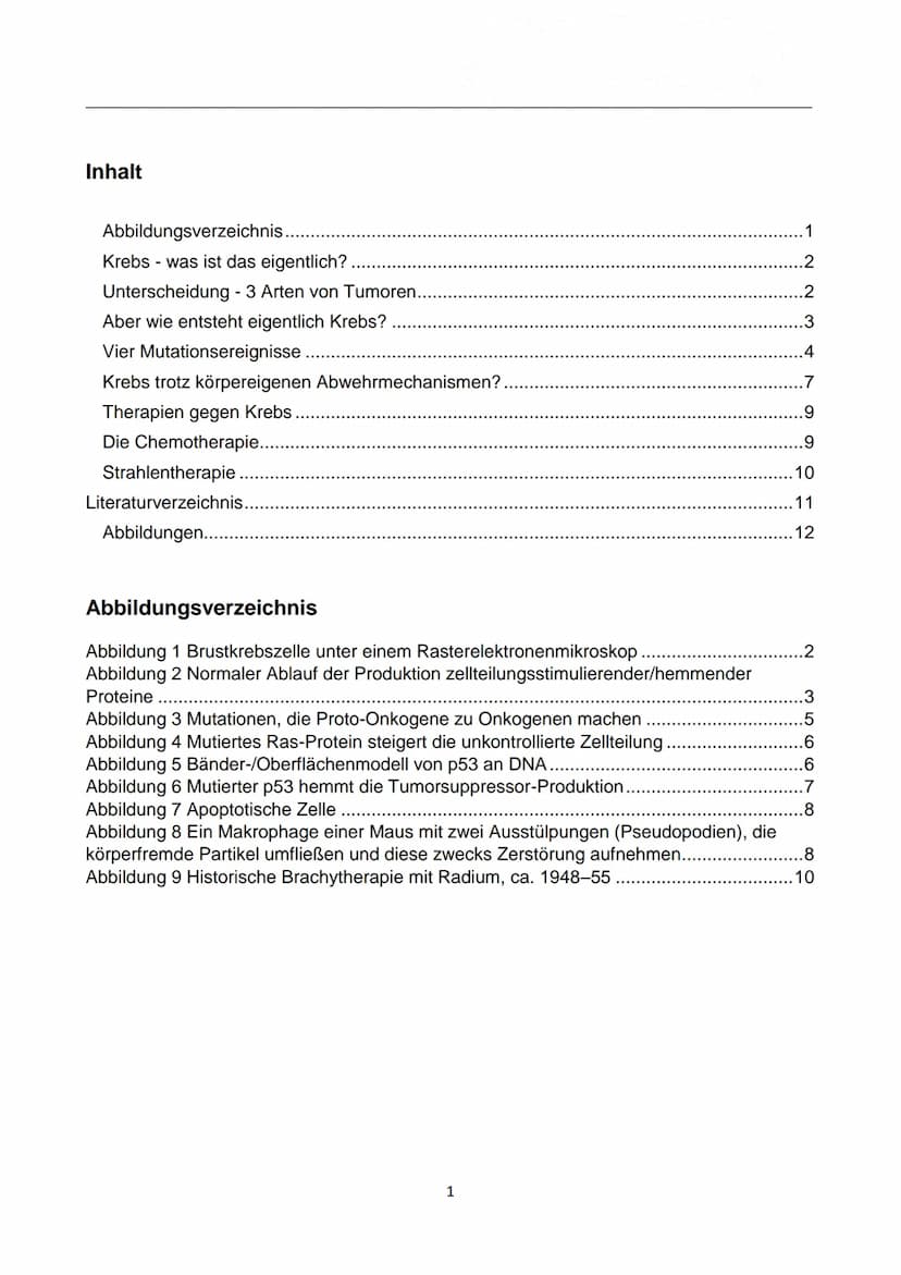 WIE ENTSTEHT EIGENTLICH
KREBS?
Autor: Luca Dold, KSI
EXPOSEE
Krebs ist keine Erkrankung der Moderne:
Es konnte nachgewiesen werden, dass
Kre