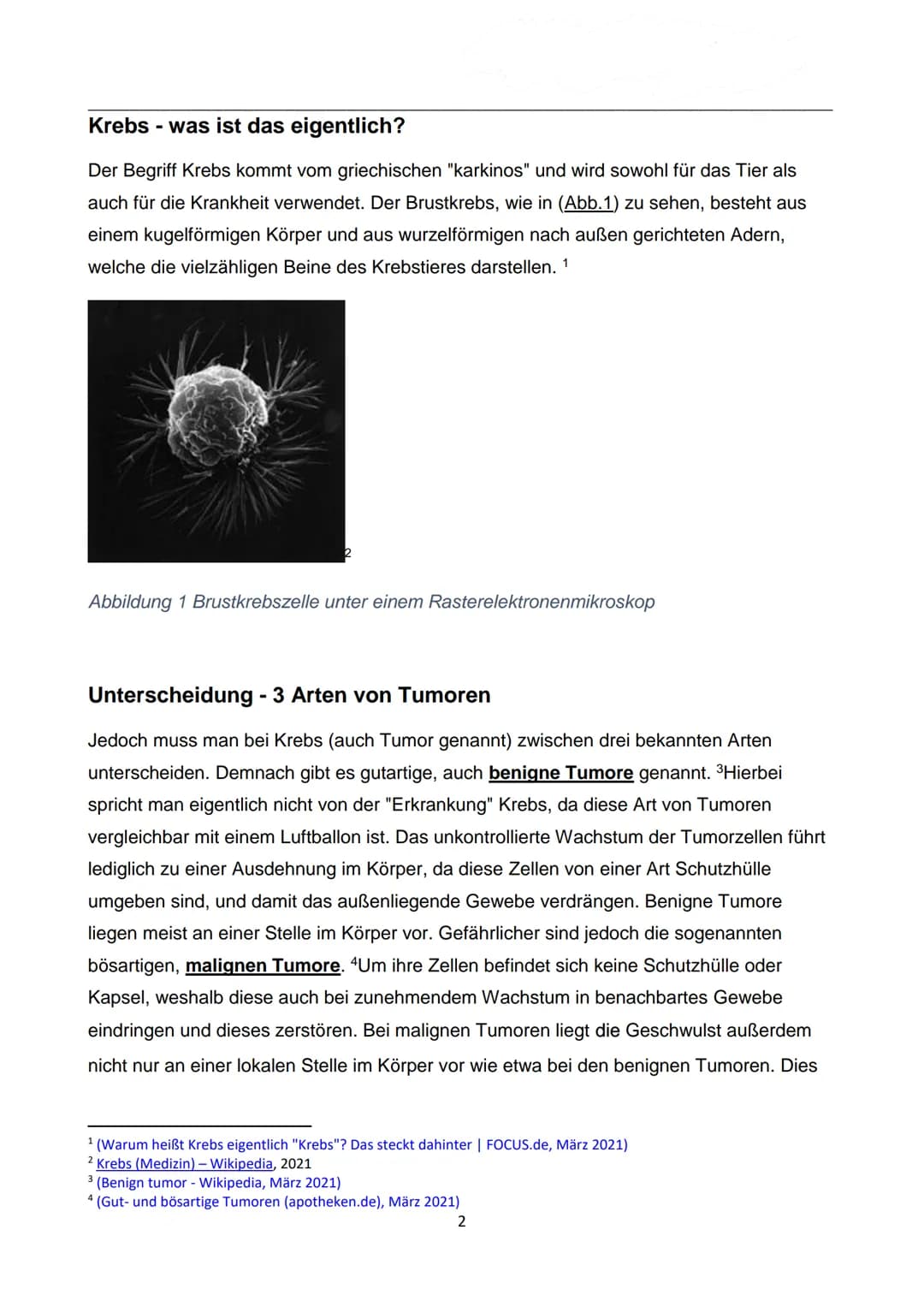 WIE ENTSTEHT EIGENTLICH
KREBS?
Autor: Luca Dold, KSI
EXPOSEE
Krebs ist keine Erkrankung der Moderne:
Es konnte nachgewiesen werden, dass
Kre