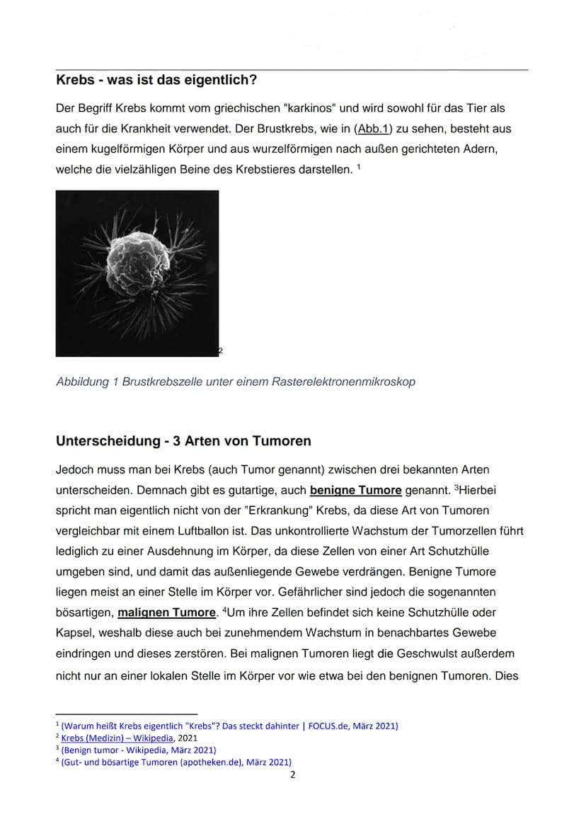 WIE ENTSTEHT EIGENTLICH
KREBS?
Autor: Luca Dold, KSI
EXPOSEE
Krebs ist keine Erkrankung der Moderne:
Es konnte nachgewiesen werden, dass
Kre