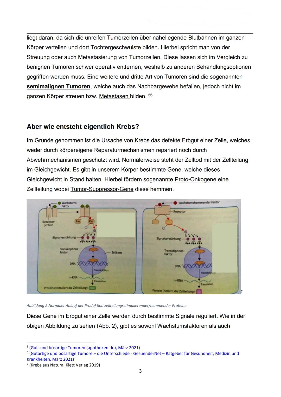 WIE ENTSTEHT EIGENTLICH
KREBS?
Autor: Luca Dold, KSI
EXPOSEE
Krebs ist keine Erkrankung der Moderne:
Es konnte nachgewiesen werden, dass
Kre