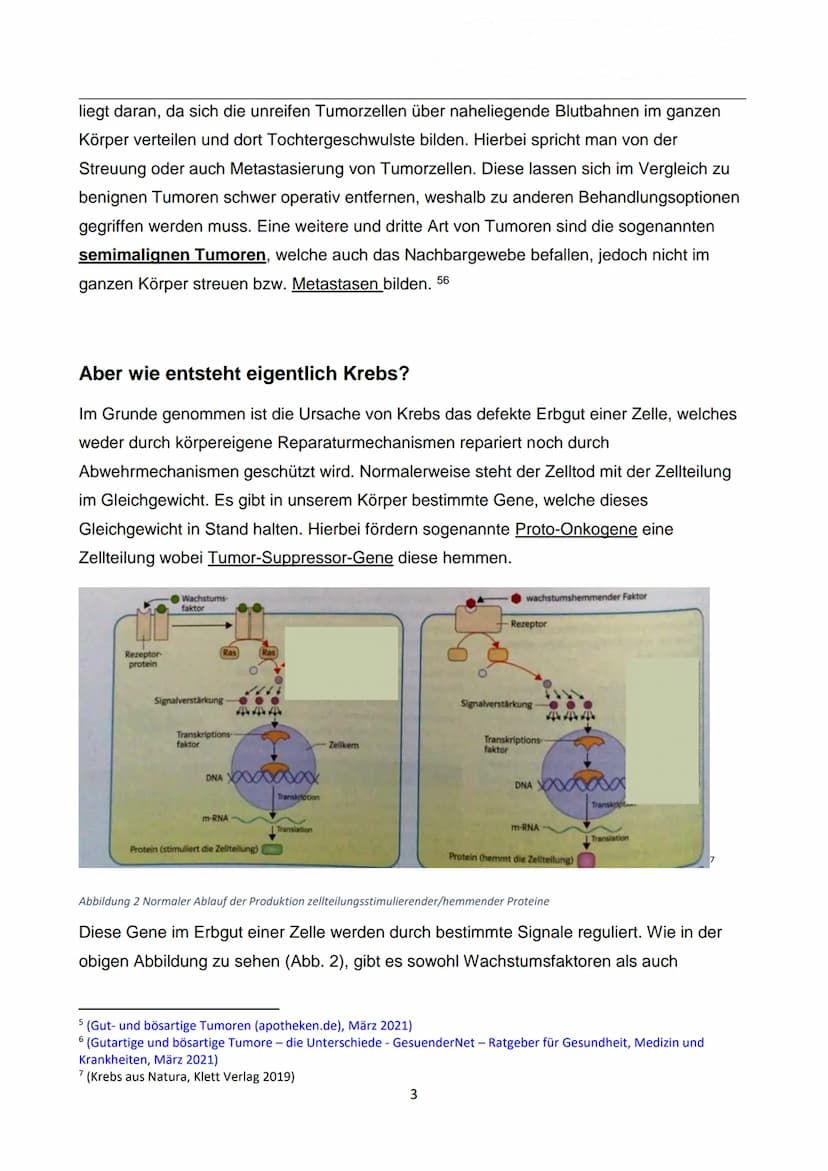 WIE ENTSTEHT EIGENTLICH
KREBS?
Autor: Luca Dold, KSI
EXPOSEE
Krebs ist keine Erkrankung der Moderne:
Es konnte nachgewiesen werden, dass
Kre