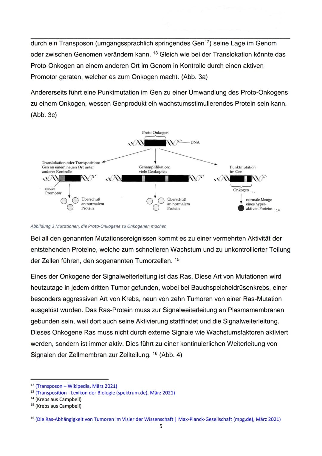 WIE ENTSTEHT EIGENTLICH
KREBS?
Autor: Luca Dold, KSI
EXPOSEE
Krebs ist keine Erkrankung der Moderne:
Es konnte nachgewiesen werden, dass
Kre