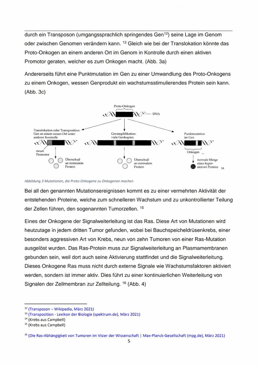 WIE ENTSTEHT EIGENTLICH
KREBS?
Autor: Luca Dold, KSI
EXPOSEE
Krebs ist keine Erkrankung der Moderne:
Es konnte nachgewiesen werden, dass
Kre