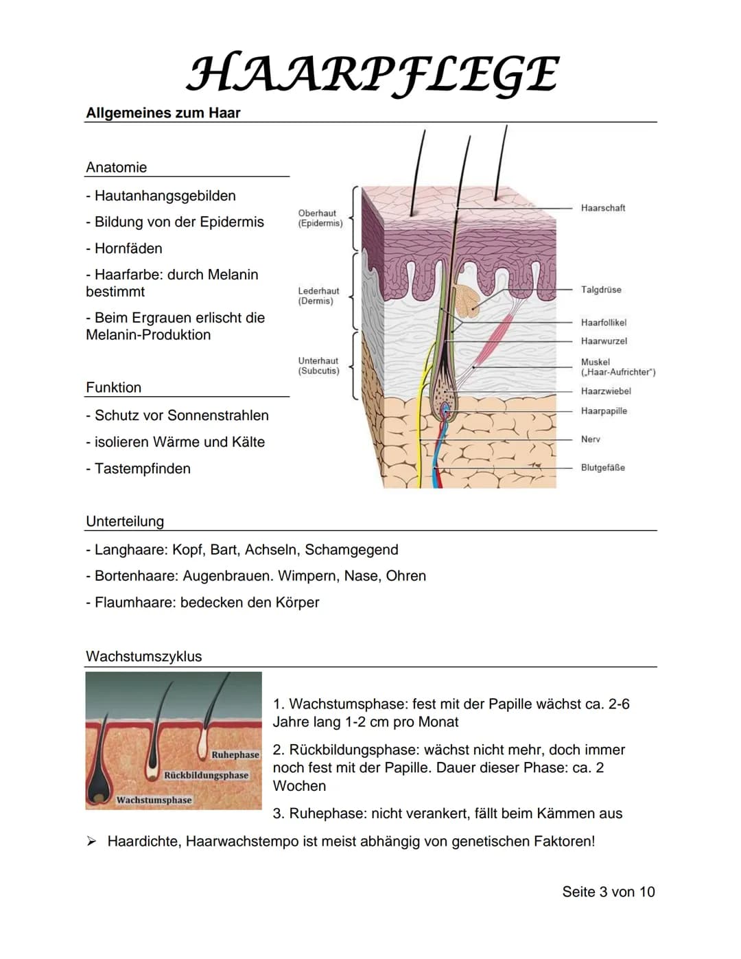 HAARPFLEGE HAARPFLEGE
Inhaltsverzeichnis
1 Allgemeines über Haar.
1.1 Anatomie
1.2 Funktion....
1.3 Unterteilung
1.4 Wachstumszyklus...
2 Er