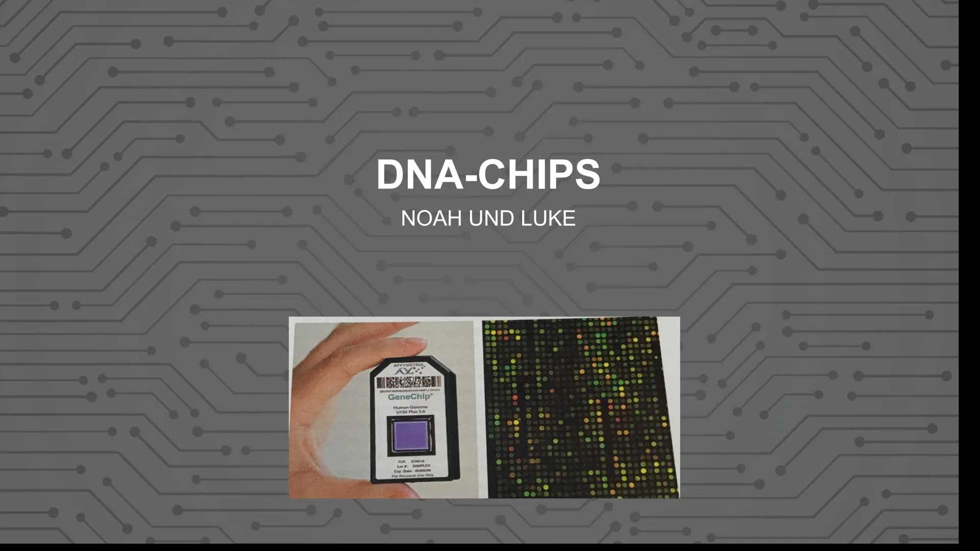 DNA-CHIPS
NOAH UND LUKE
AFFYMETRIX
N:
GeneChip®
Human Genome
U133 Plus 2.0
5000 19
GAMPLES INHALTSVERZEICHNI
S
•1. HUMANGENOMPROJEKT
(ALLGEM