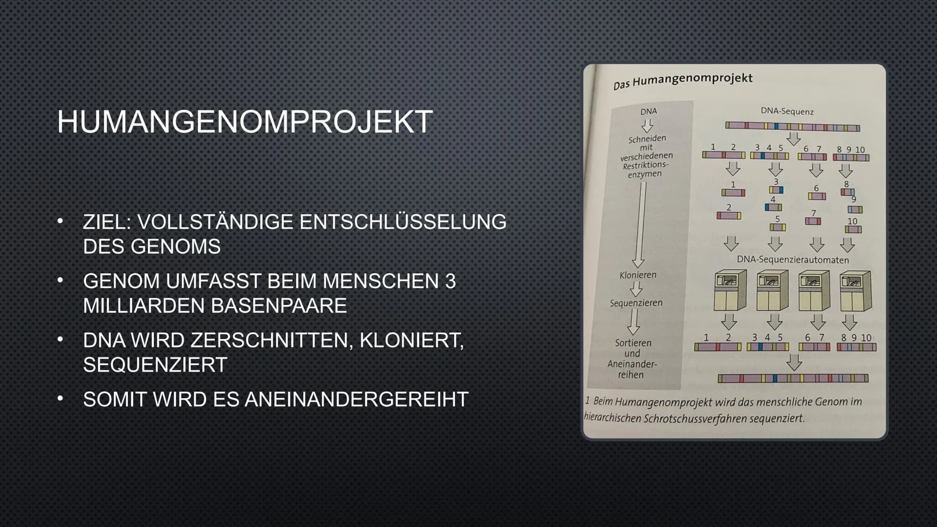 DNA-CHIPS
NOAH UND LUKE
AFFYMETRIX
N:
GeneChip®
Human Genome
U133 Plus 2.0
5000 19
GAMPLES INHALTSVERZEICHNI
S
•1. HUMANGENOMPROJEKT
(ALLGEM