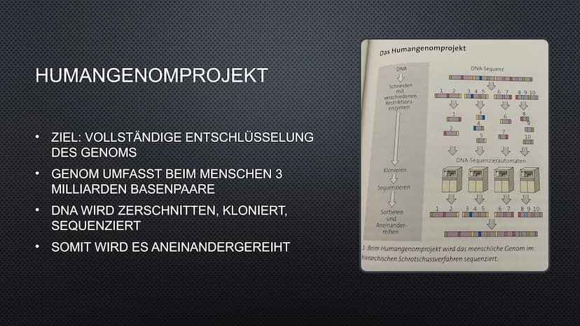 DNA-CHIPS
NOAH UND LUKE
AFFYMETRIX
N:
GeneChip®
Human Genome
U133 Plus 2.0
5000 19
GAMPLES INHALTSVERZEICHNI
S
•1. HUMANGENOMPROJEKT
(ALLGEM