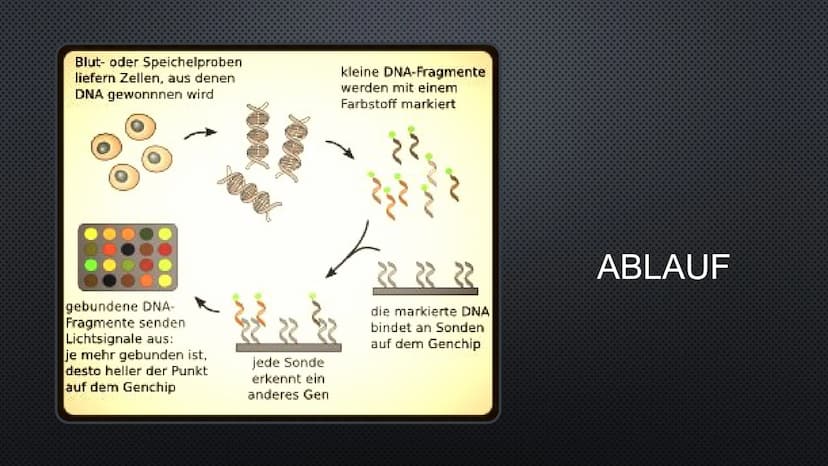 DNA-CHIPS
NOAH UND LUKE
AFFYMETRIX
N:
GeneChip®
Human Genome
U133 Plus 2.0
5000 19
GAMPLES INHALTSVERZEICHNI
S
•1. HUMANGENOMPROJEKT
(ALLGEM