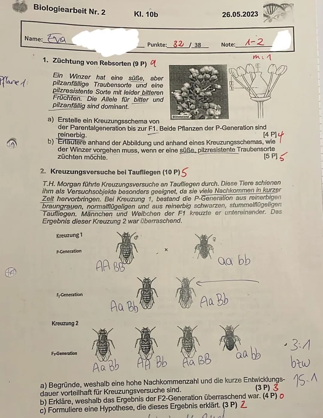 Biologiearbeit Nr. 2
Kl. 10b
Name: Eva
Pflane 1:
26.05.2023
Punkte: 32/38
Note: 1-2
m: 1
1. Züchtung von Rebsorten (9 P) a
Ein Winzer hat ei