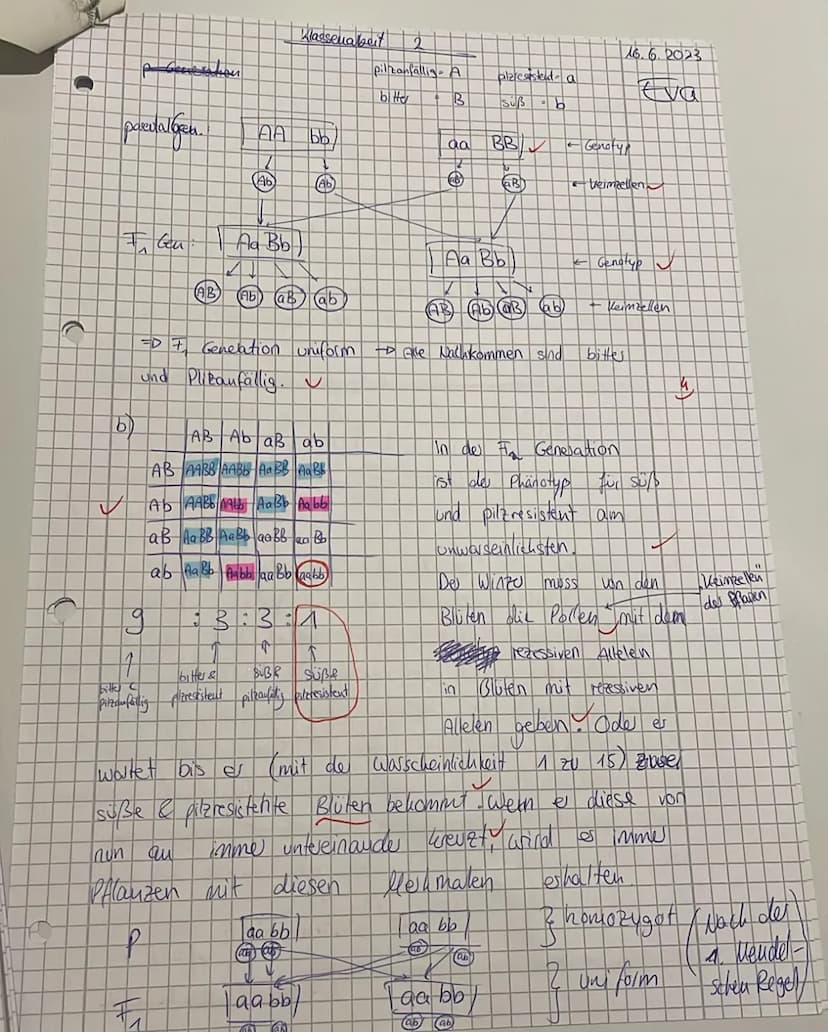 Biologiearbeit Nr. 2
Kl. 10b
Name: Eva
Pflane 1:
26.05.2023
Punkte: 32/38
Note: 1-2
m: 1
1. Züchtung von Rebsorten (9 P) a
Ein Winzer hat ei