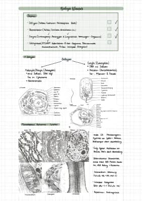 Know Biologie Zusammenfassung 11/1 thumbnail