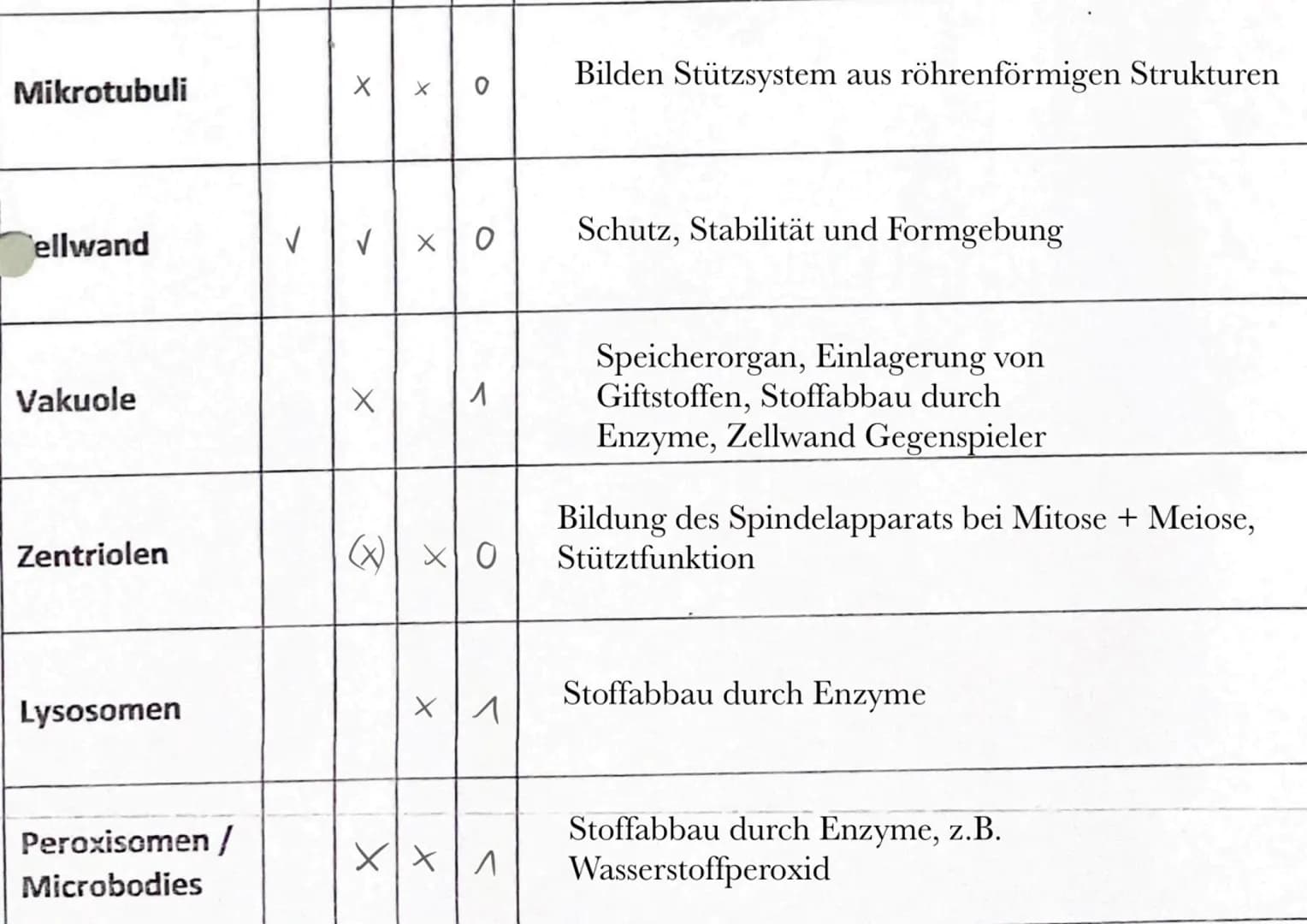 b) Tierzelle
Themen
- Zelltypen (Aufbau, Funktionen, Mikroskopische Bilder)
Biomembran (Aufbau, Funktionen, Konzentration, etc.)
✓
1. Zellty