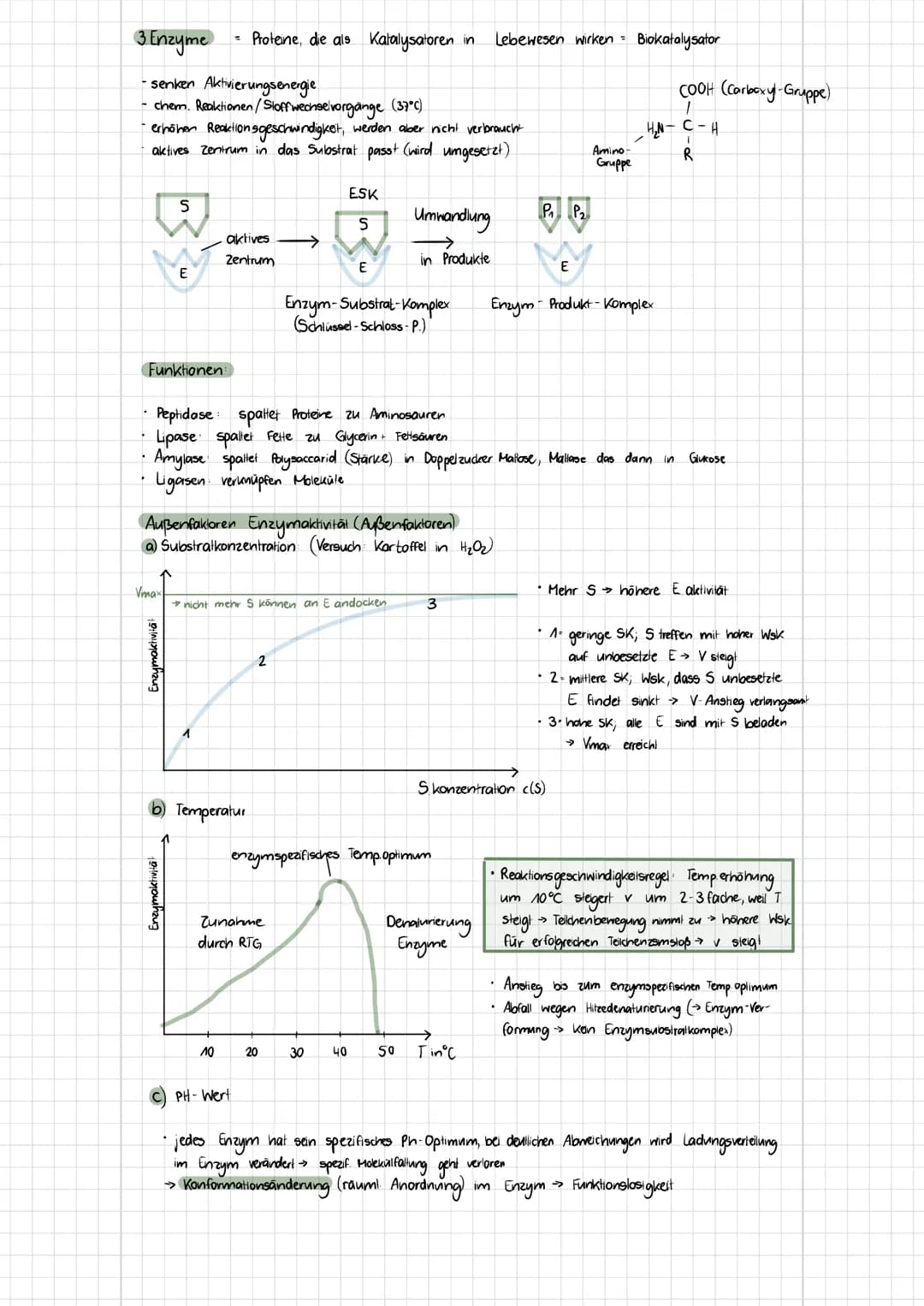 b) Tierzelle
Themen
- Zelltypen (Aufbau, Funktionen, Mikroskopische Bilder)
Biomembran (Aufbau, Funktionen, Konzentration, etc.)
✓
1. Zellty