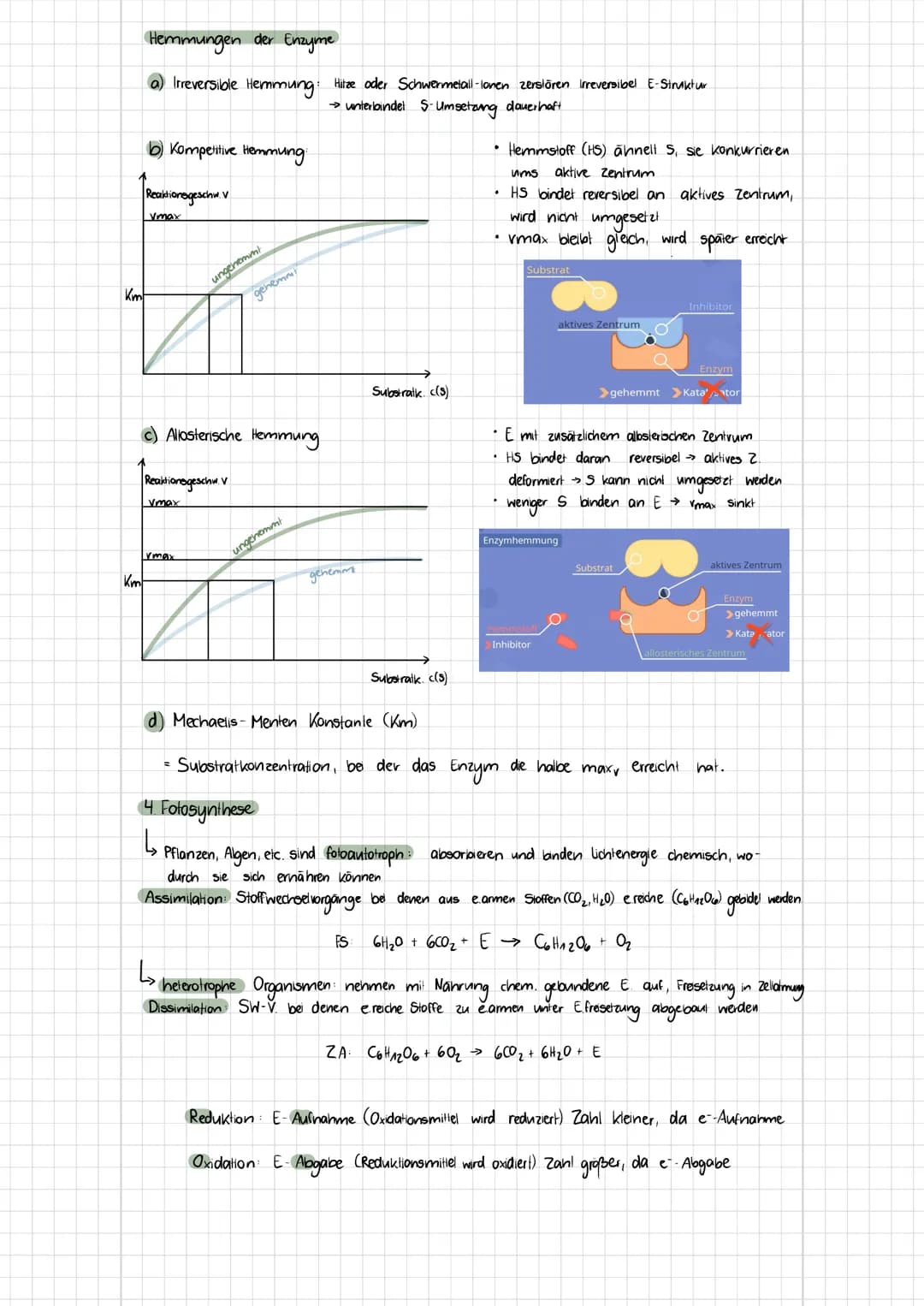 b) Tierzelle
Themen
- Zelltypen (Aufbau, Funktionen, Mikroskopische Bilder)
Biomembran (Aufbau, Funktionen, Konzentration, etc.)
✓
1. Zellty