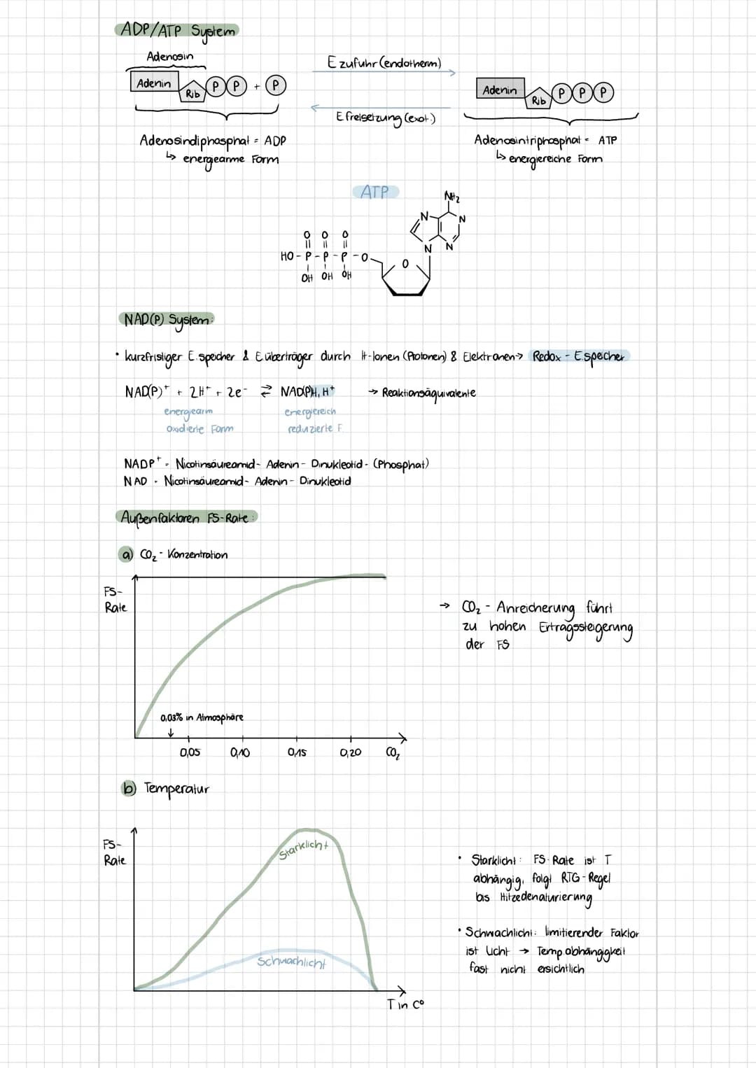 b) Tierzelle
Themen
- Zelltypen (Aufbau, Funktionen, Mikroskopische Bilder)
Biomembran (Aufbau, Funktionen, Konzentration, etc.)
✓
1. Zellty