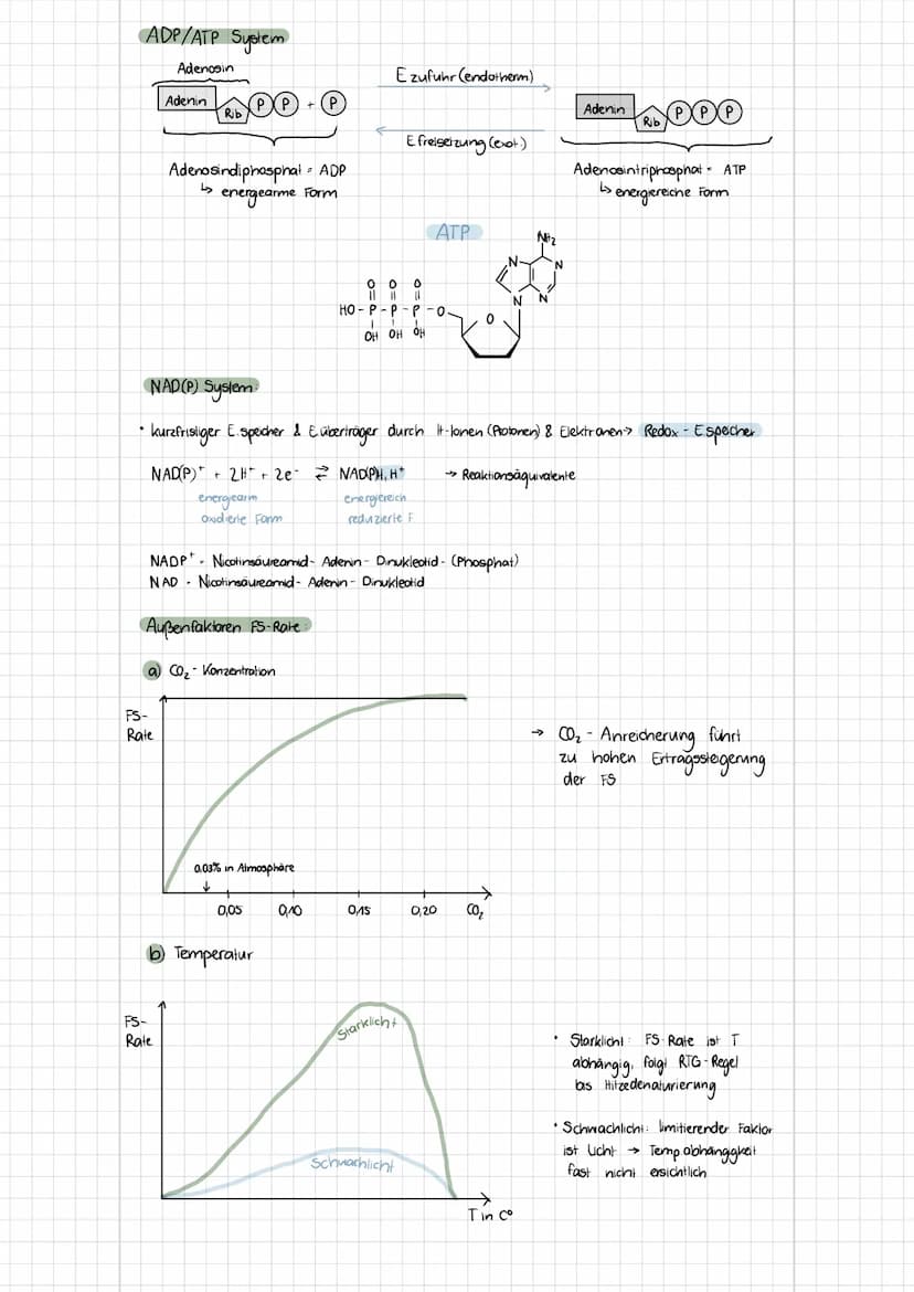 b) Tierzelle
Themen
- Zelltypen (Aufbau, Funktionen, Mikroskopische Bilder)
Biomembran (Aufbau, Funktionen, Konzentration, etc.)
✓
1. Zellty