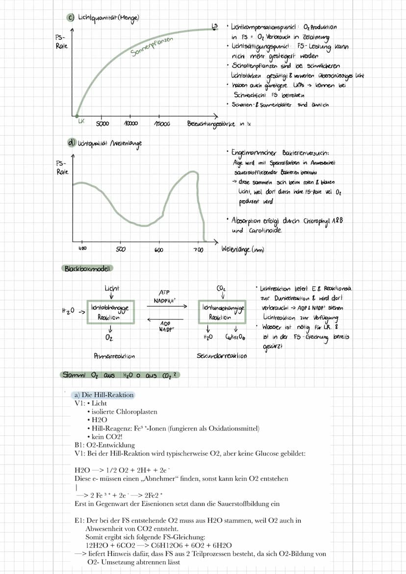 b) Tierzelle
Themen
- Zelltypen (Aufbau, Funktionen, Mikroskopische Bilder)
Biomembran (Aufbau, Funktionen, Konzentration, etc.)
✓
1. Zellty