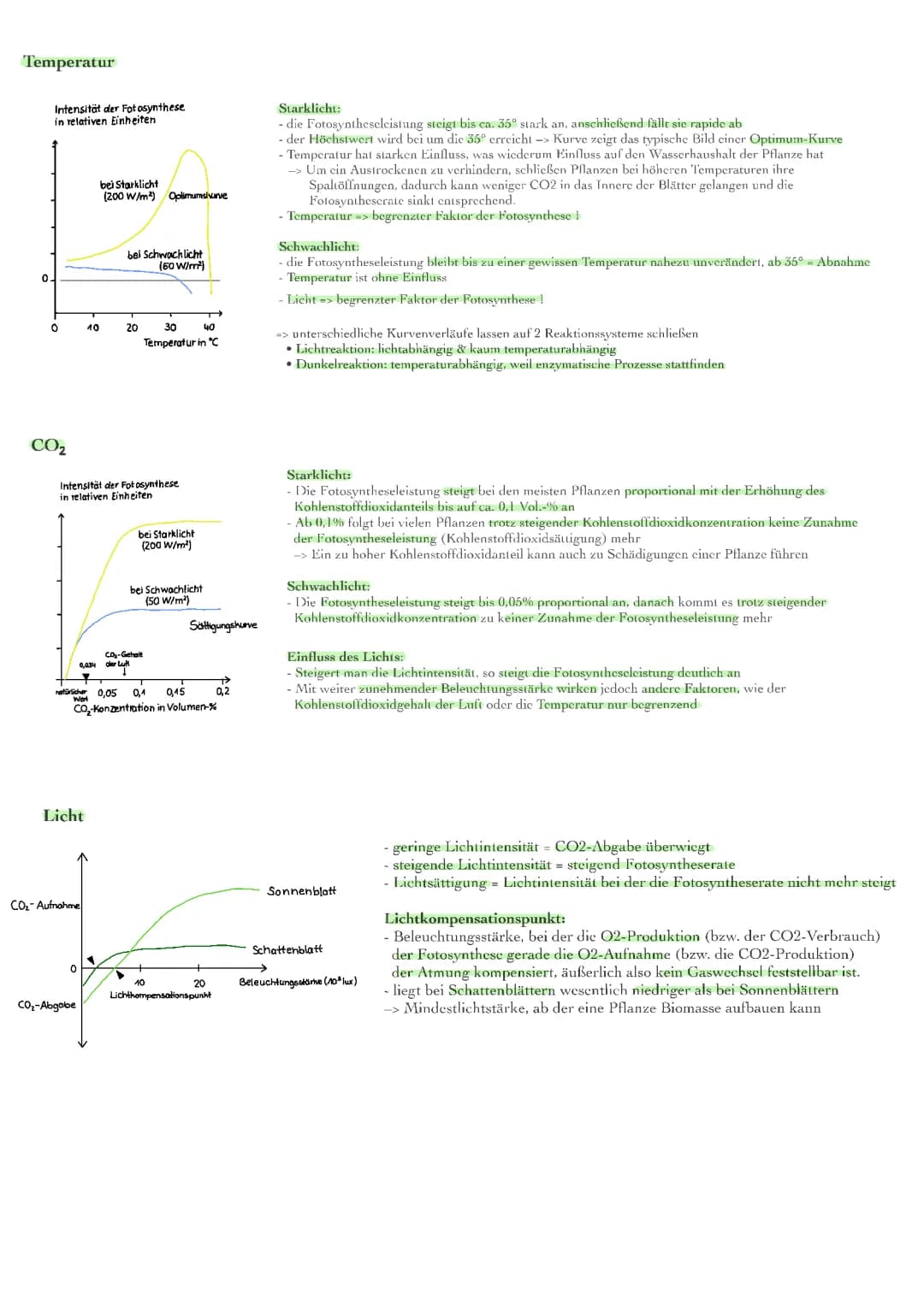 Fotosynthese