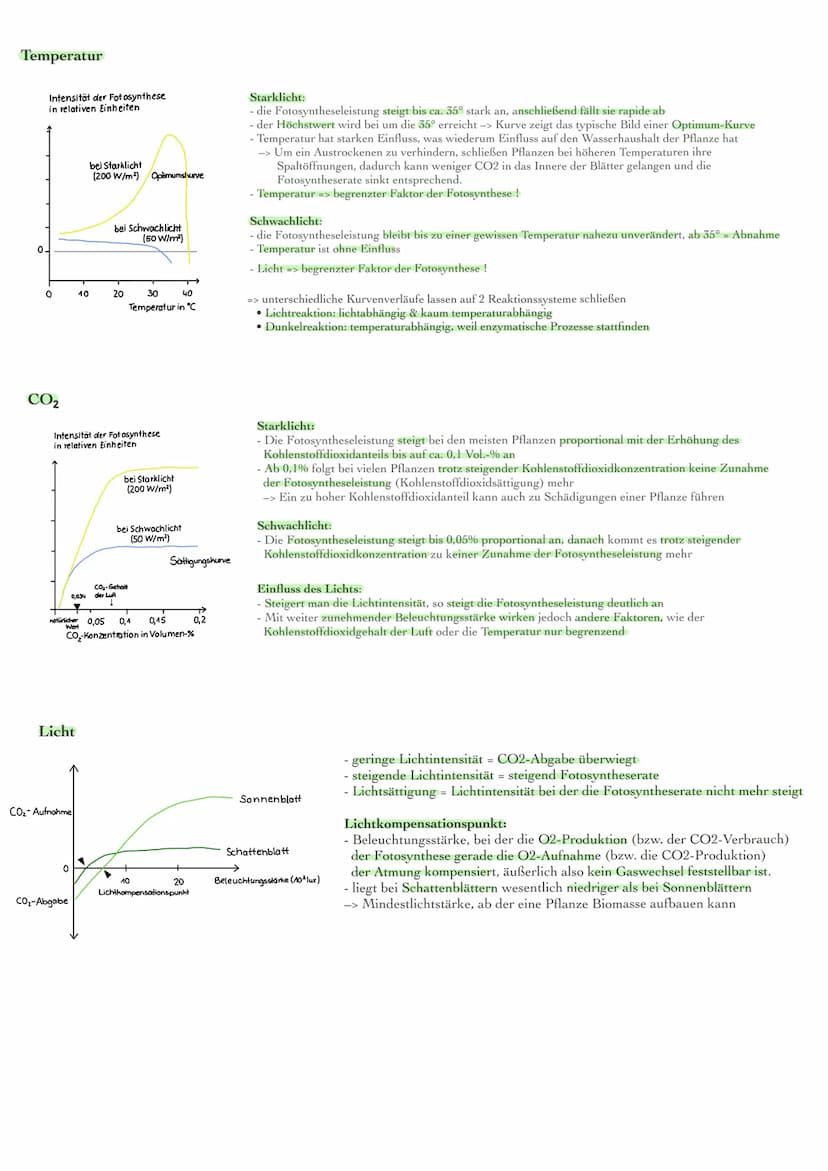 Blattaufbau und Funktionen
obere Cuticula
obere Epidermis
Palisadenparenchym
Bündelscheide
Gefäßteil
Siebteil
Leitbündel
Schwammgewebe
unter