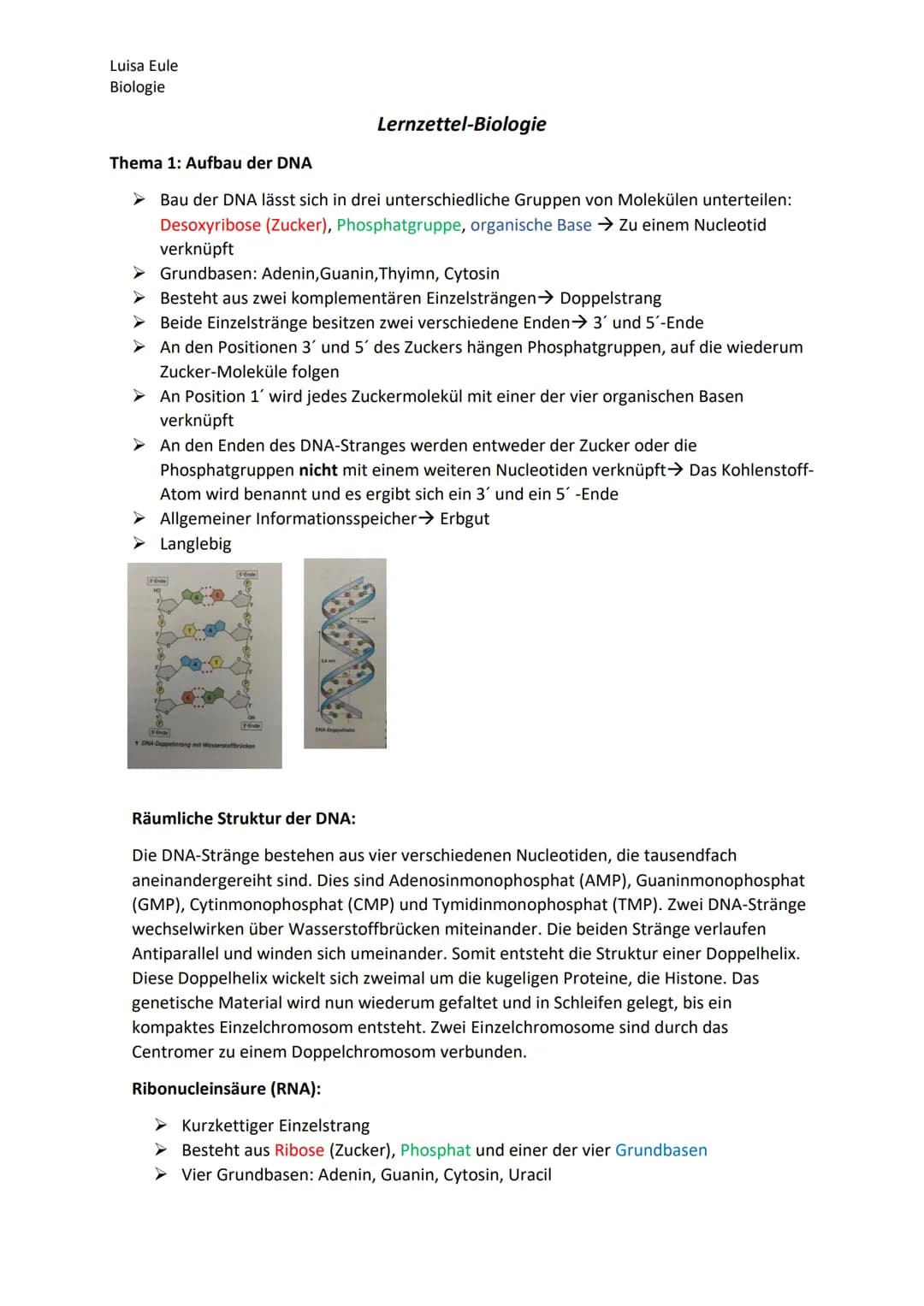 Luisa Eule
Biologie
Thema 1: Aufbau der DNA
➤ Bau der DNA lässt sich in drei unterschiedliche Gruppen von Molekülen unterteilen:
Desoxyribos