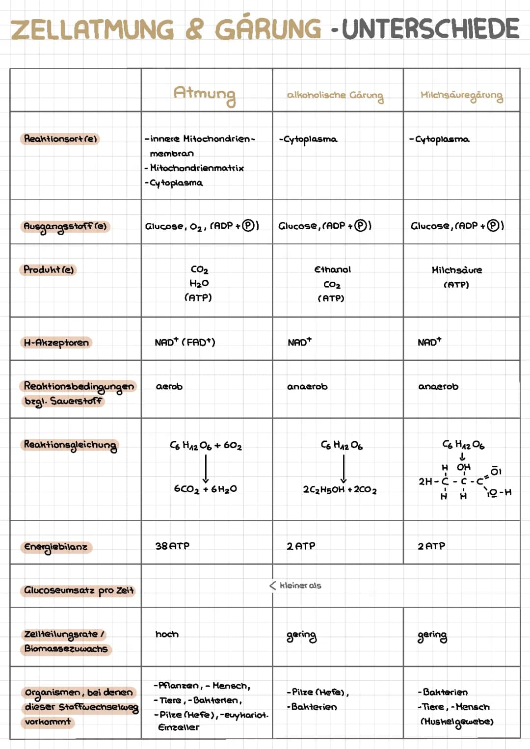 Zellatmung und Gärung, Vergleich/Unterschiede