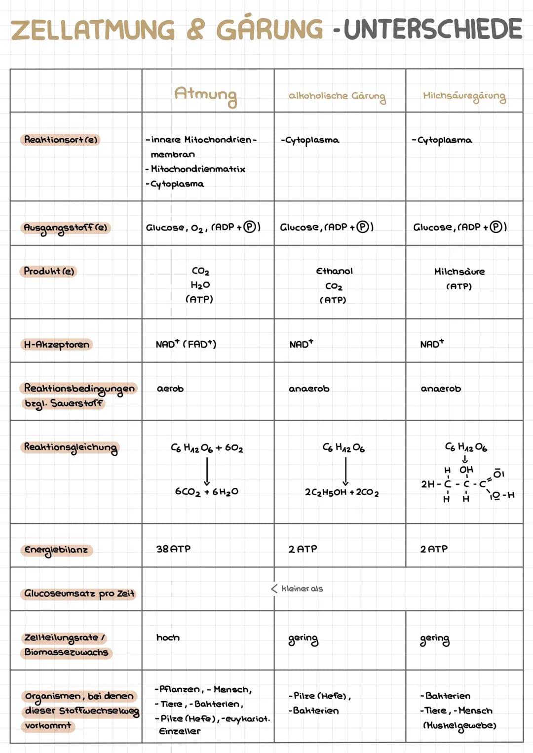 ZELLATMUNG & GARUNG -UNTERSCHIEDE
Reaktionsort (e)
Ausgangsstoff (e)
Produkt (e)
H-Akzeptoren
Reaktionsbedingungen
bzgl. Sauerstoff
Reaktion