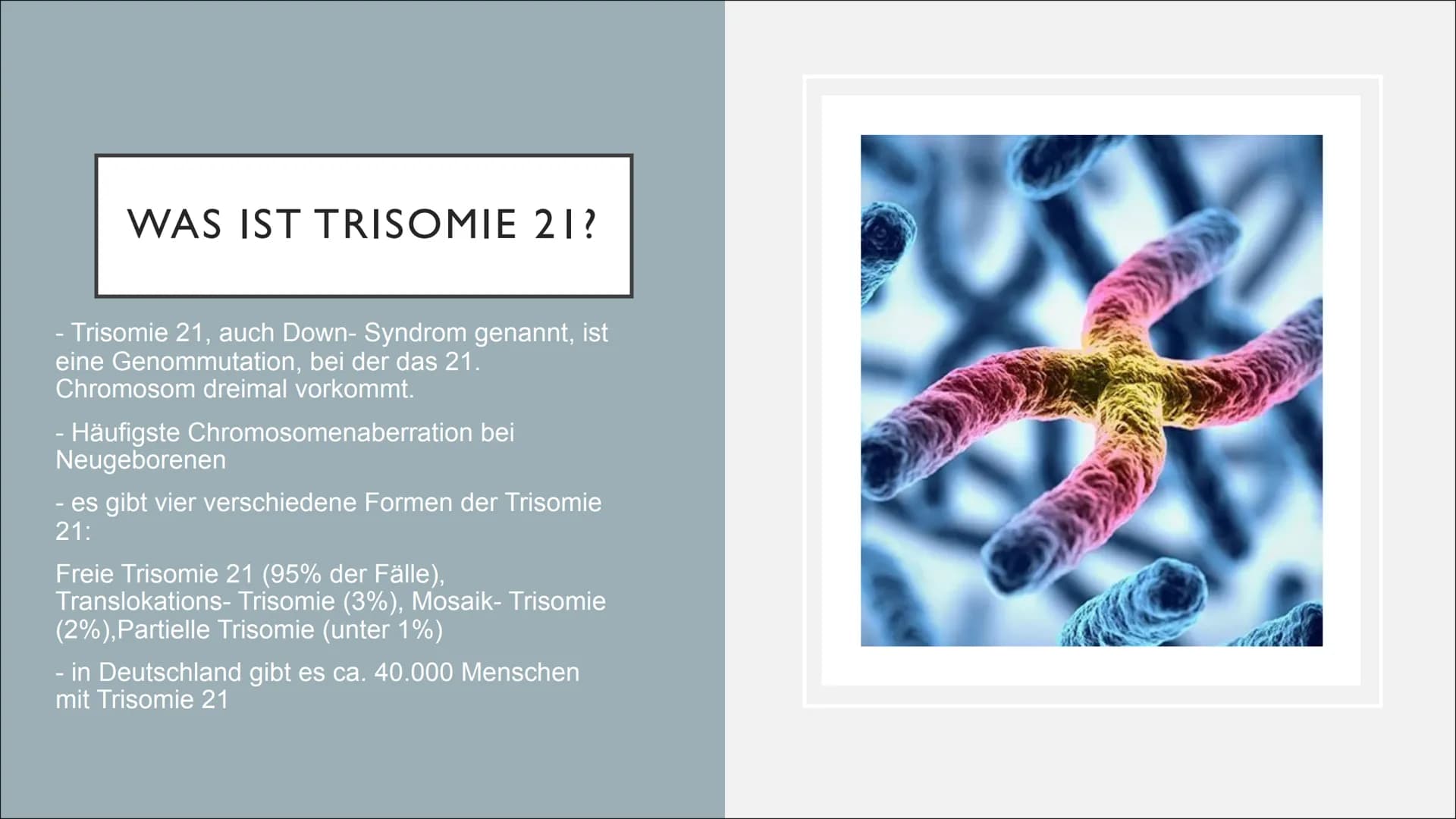 Nondisjunction
Nondisjunction
in der
in der
1. meiotischen Teilung 2. meiotischen Teilung.
Sper-
mium
908)
OO
Ⓡ 0-60
trisom
monosom
trisom
e