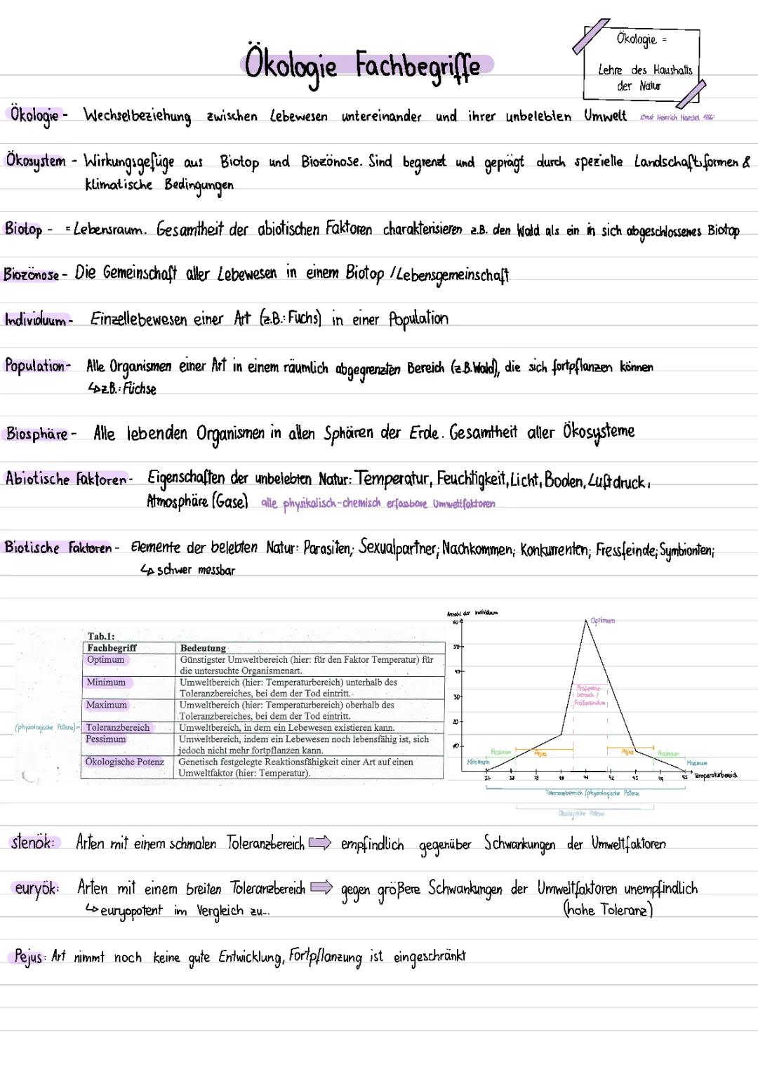 Ökologie Fachbegriffe PDF: Einfach für Kinder erklärt mit Beispielen und Mindmap