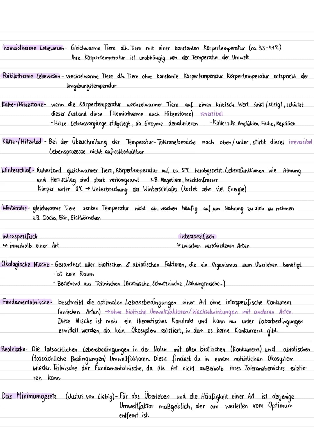 Ökologie Fachbegriffe PDF: Einfach für Kinder erklärt mit Beispielen und Mindmap