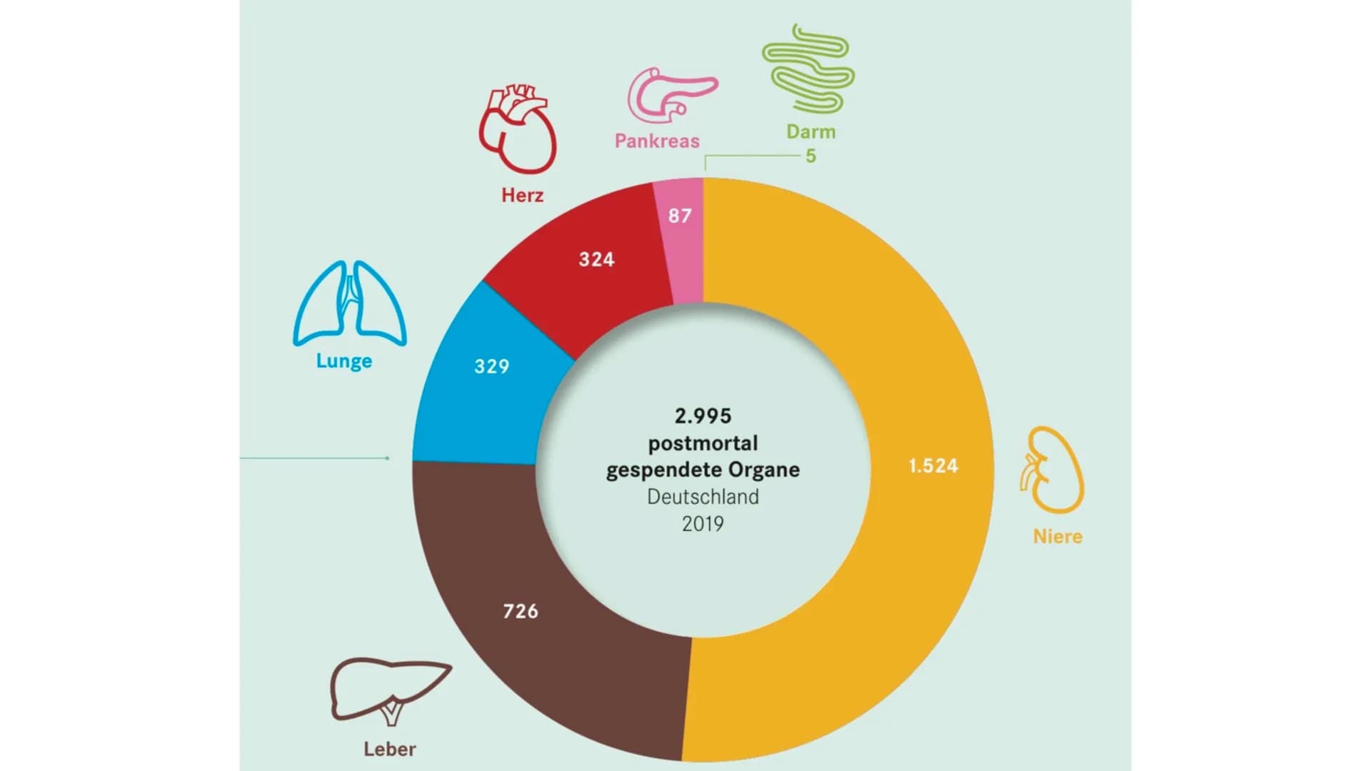 Handout
Was ist Organspende?
Freigabe von Organen zur Transplantation
bei postmortaler Organspende: anonym->nach Hirntod
Lebendspende nicht 