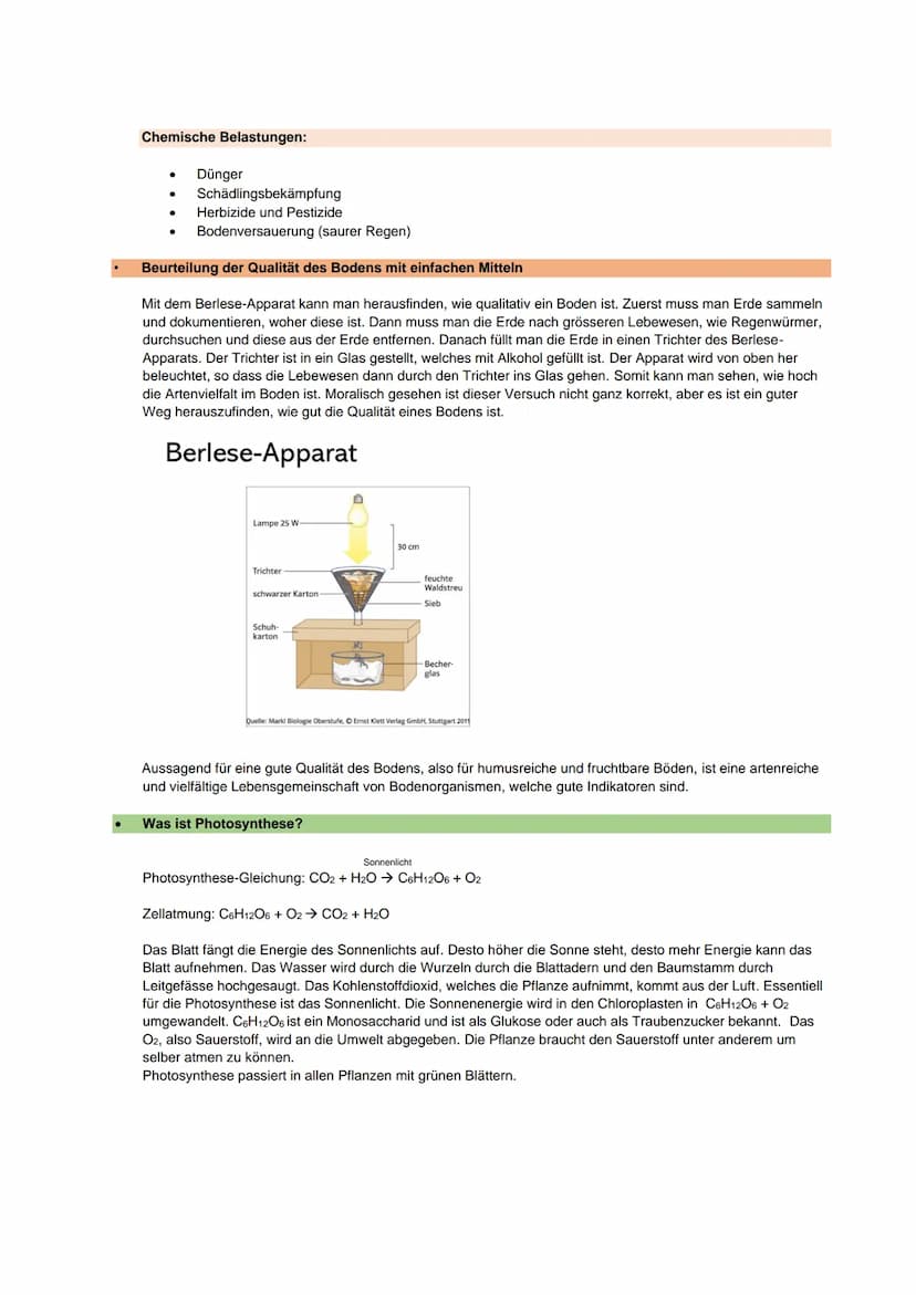 Botanik und Ökologie
Bedeutung, Eigenschaften und Lebensweise der Algen, Moose, Farne und Blütenpflanzen und die
schrittweise Anpassung der 