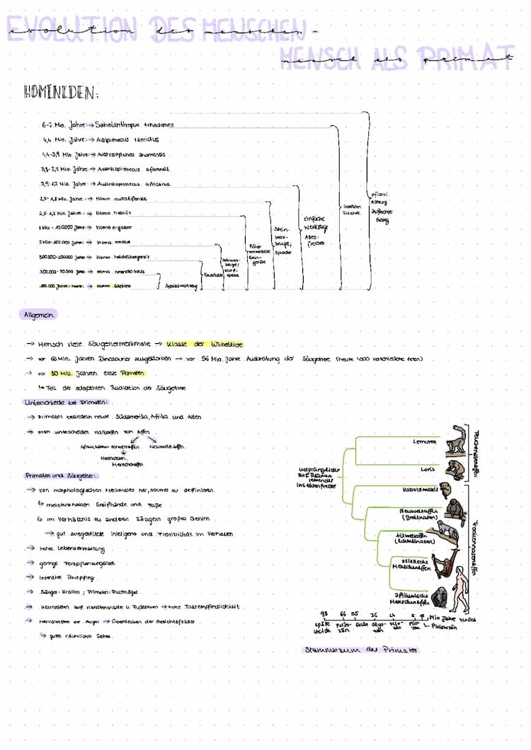 Know humanevolution  thumbnail