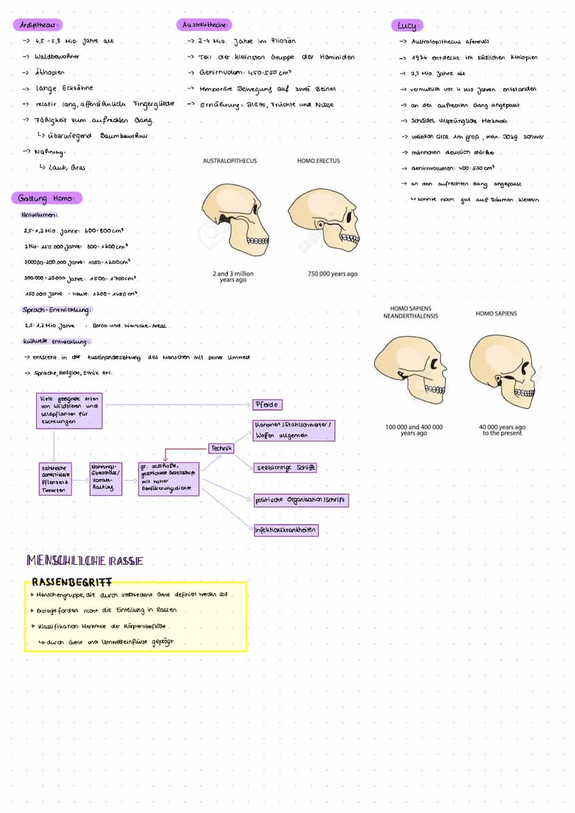 EVENTION DES HELLSCHEL) -
سمعتصمين
HOMINIDEN:
6-7 Mio. Jahre: → Sahelanthropus tchadensis
4,4 Mio. Jahre:→→ Adripithecus ramidus
4,4-3,9 Mio
