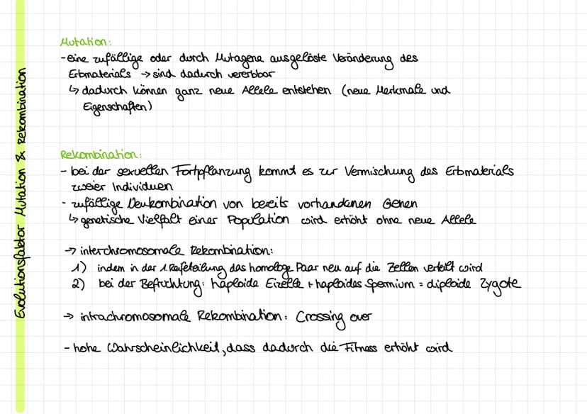 Evolutionstheorien
Evolution: Entwicklung
von Leben über Generationen auf Grundlage
Kirche: -Schöpfungsgeschichte
Cuvier:
Rekombination und 