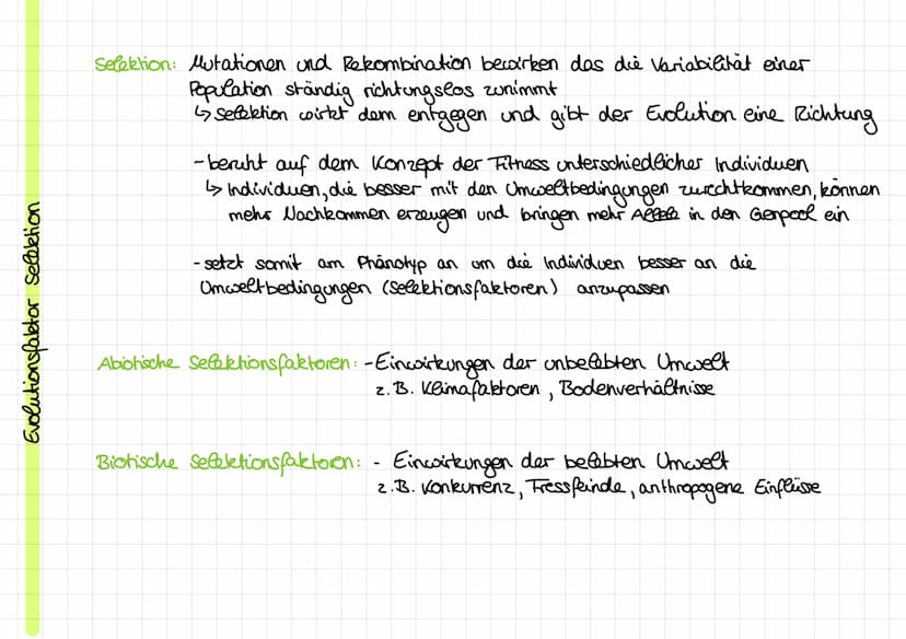 Evolutionstheorien
Evolution: Entwicklung
von Leben über Generationen auf Grundlage
Kirche: -Schöpfungsgeschichte
Cuvier:
Rekombination und 