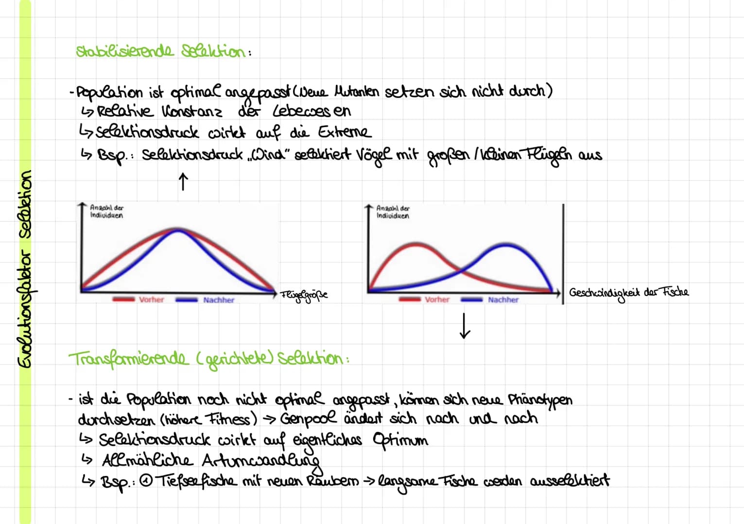 Evolutionstheorien
Evolution: Entwicklung
von Leben über Generationen auf Grundlage
Kirche: -Schöpfungsgeschichte
Cuvier:
Rekombination und 