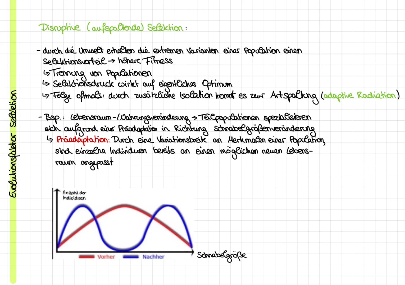 Evolutionstheorien
Evolution: Entwicklung
von Leben über Generationen auf Grundlage
Kirche: -Schöpfungsgeschichte
Cuvier:
Rekombination und 