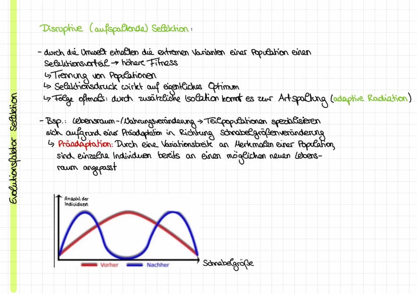 Evolutionstheorien
Evolution: Entwicklung
von Leben über Generationen auf Grundlage
Kirche: -Schöpfungsgeschichte
Cuvier:
Rekombination und 