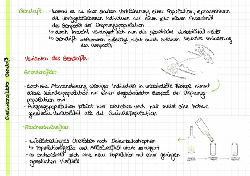 Evolutionstheorien
Evolution: Entwicklung
von Leben über Generationen auf Grundlage
Kirche: -Schöpfungsgeschichte
Cuvier:
Rekombination und 