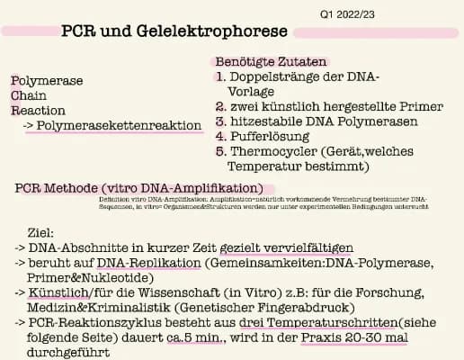 Know Gelelektrophorese und PCR Methode  thumbnail