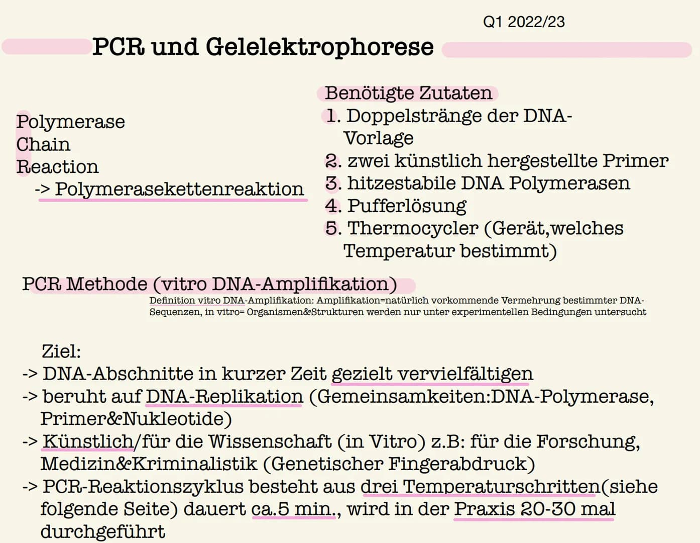 PCR und Gelelektrophorese
Polymerase
Chain
Reaction
-> Polymerasekettenreaktion
Q1 2022/23
Benötigte Zutaten
1. Doppelstränge der DNA-
Vorla